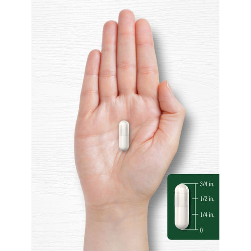 View 7 Celery Seed Extract | 240 Capsules