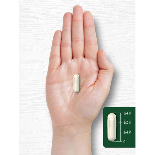 View 7 Plant Enzymes | 250 Capsules