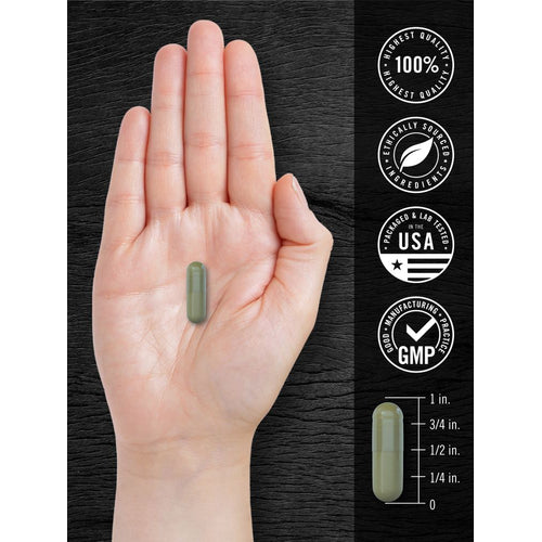 View 7 A hand holds a green capsule next to an infographic showing the capsule's size as three-quarters inch.