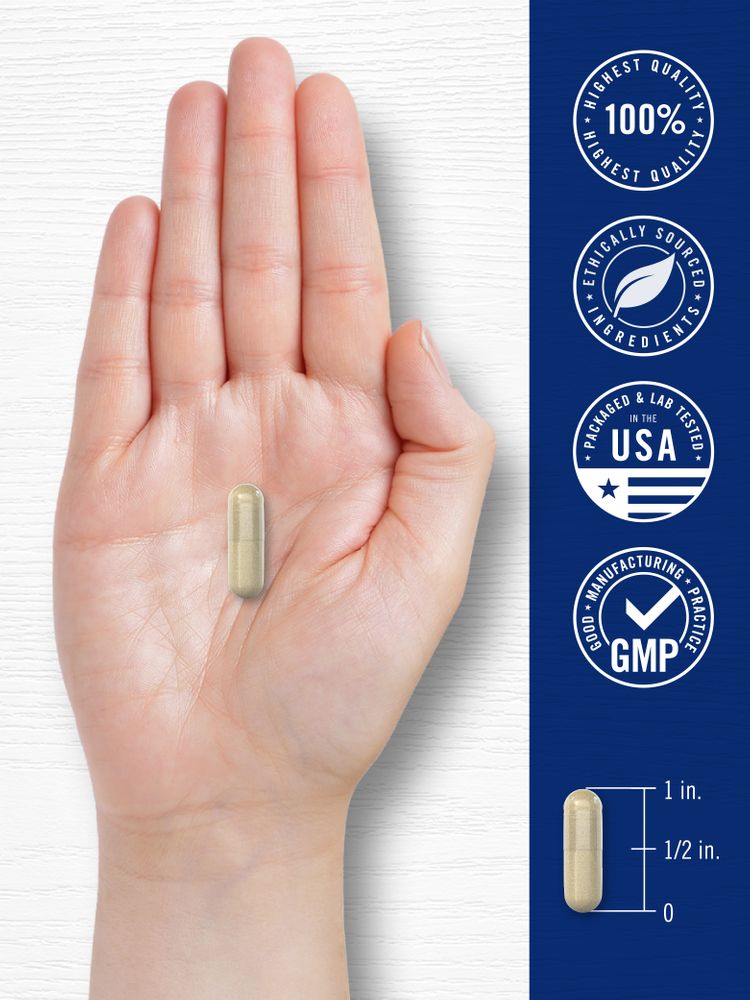 Cortisol Supplement | 60 Vegan Capsules