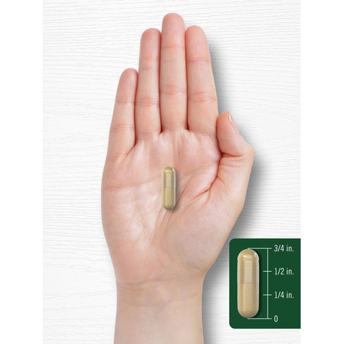 View 7 Yucca Root | 120 Capsules