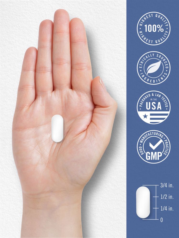 L-Lysin 500mg | 250 Tabletten