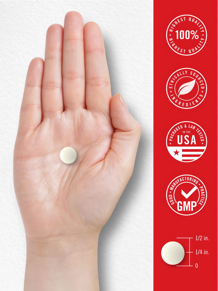 Vitamina C 500mg per porzione con Cinorrodo | 200 Compresse