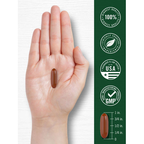View 7 Lecitina de Girassol 2400mg por porção | 200 Cápsulas Gelatinosas