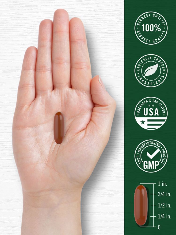 Sunflower Lecithin 2400mg per serving | 200 Softgels