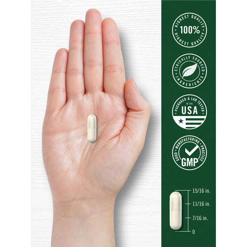 View 7 An Apple Cider Vinegar capsule rests on a hand, measuring 15/16 inches long for scale.