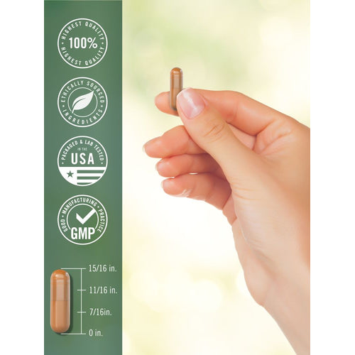 View 7 Turmeric Curcumin | 150 Capsules