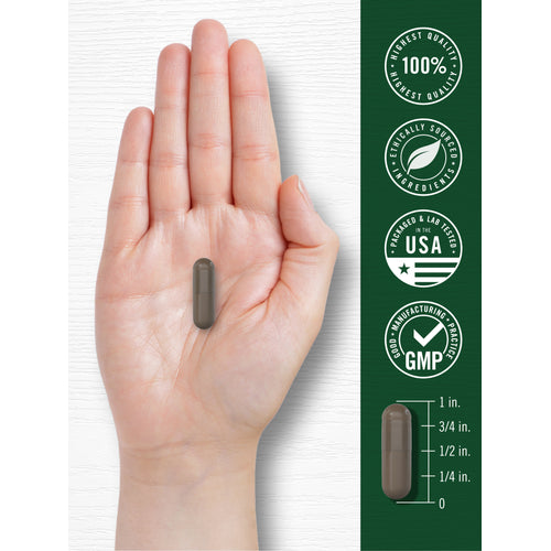 View 7 Shilajit | 90 Capsule