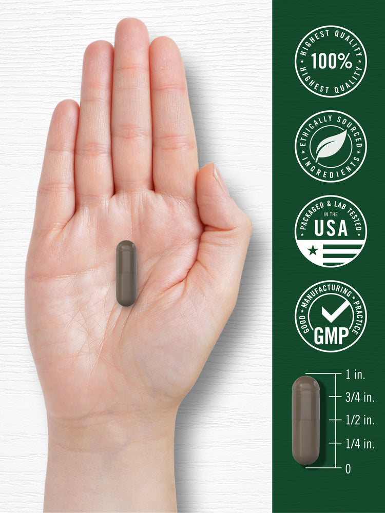 Shilajit | 90 Capsule