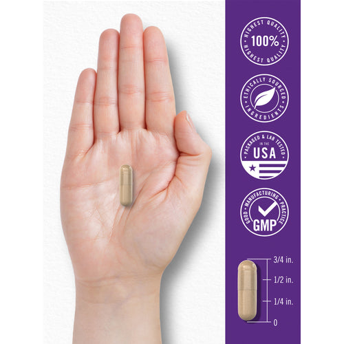 View 7 Probiotics 90 Billion CFU | 120 Capsules