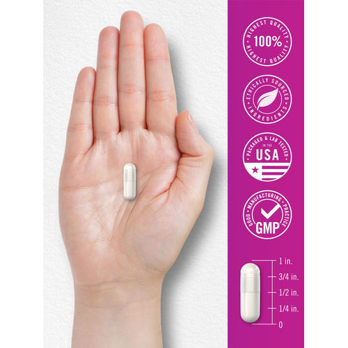 View 7 A white capsule, 1 inch long, rests on a hand with a visible measurement scale, illustrating size.