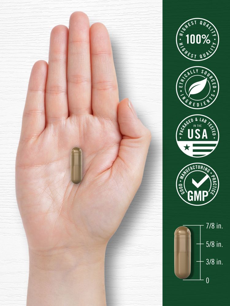 Neemblatt 950mg | 120 Kapseln