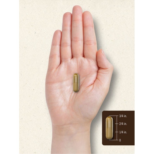 View 7 Bee Propolis | 150 Capsules