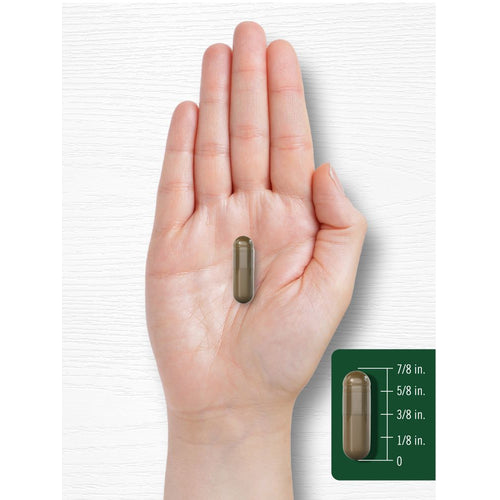 View 7 Pau D'Arco 1500 mg par portion | 180 Capsules