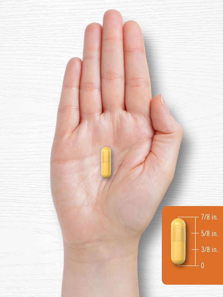Turmeric Curcumin with Black Pepper 1000mg | 180 Capsules