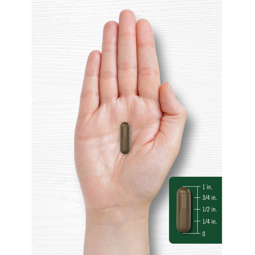 View 7 Schizandra Extract 1160mg per serving | 200 Capsules