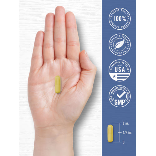 View 7 CoQ10 400mg por porción | 90 Cápsulas