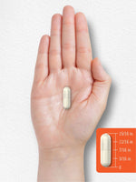 Load image into Gallery viewer, Prebiotic &amp; Probiotic | 25 Billion CFU | 60 Capsules
