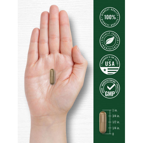View 7 Olive Leaf Extract Capsules | 70 Count