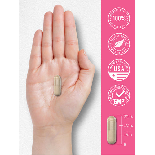 View 7 Women's Probiotic and Prebiotic Supplement | 100 Billion CFU
