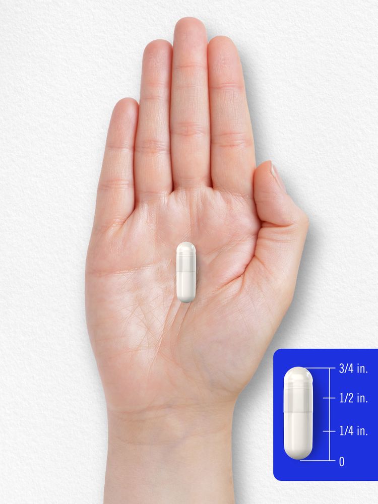 Benfotiamina 300mg | 90 Capsule