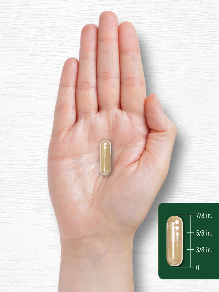 Foglie di Neem 950mg per porzione | 150 Capsule