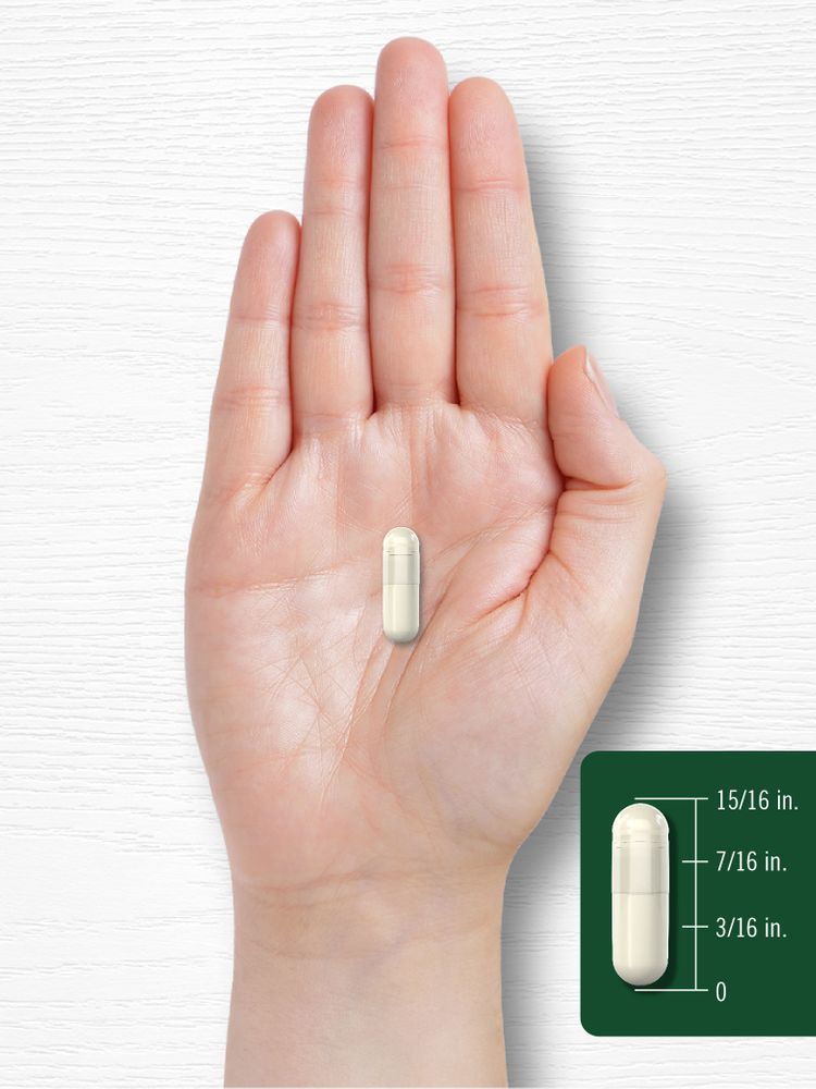 Estratto di Boswellia 1200mg | 250 Capsule