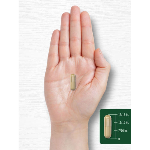 View 8 Echinacea | 120 Capsules