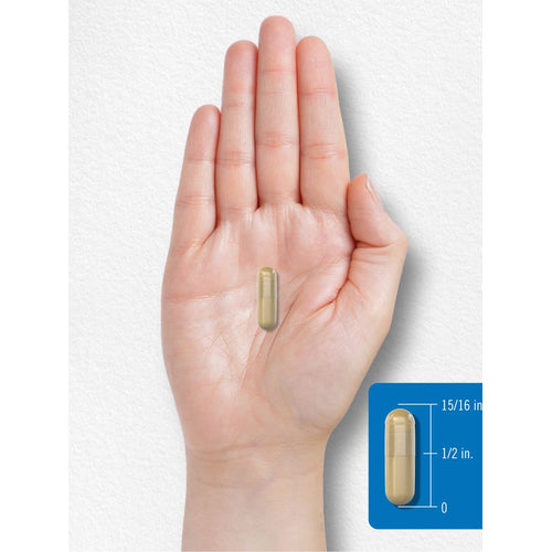 View 8 Fiber Complex | 180 Capsules