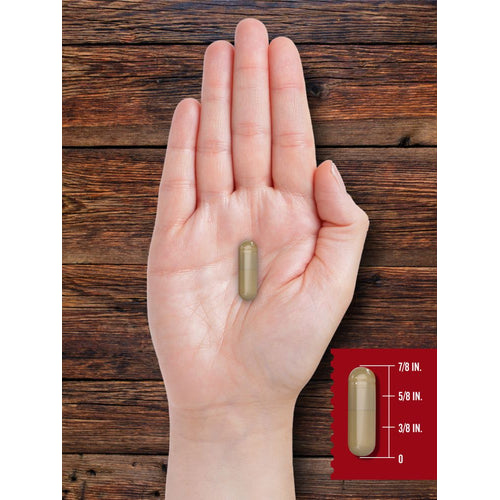 View 7 Organes de Bœuf Nourri à l'Herbe 650mg | 200 Capsules