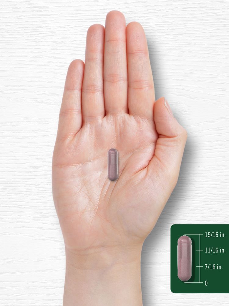 IMAGE 8 of 8