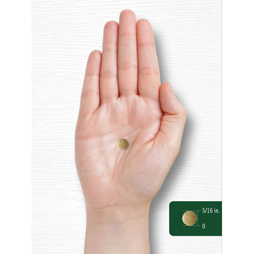 View 8 Ginkgo Biloba | 400 Tabletten