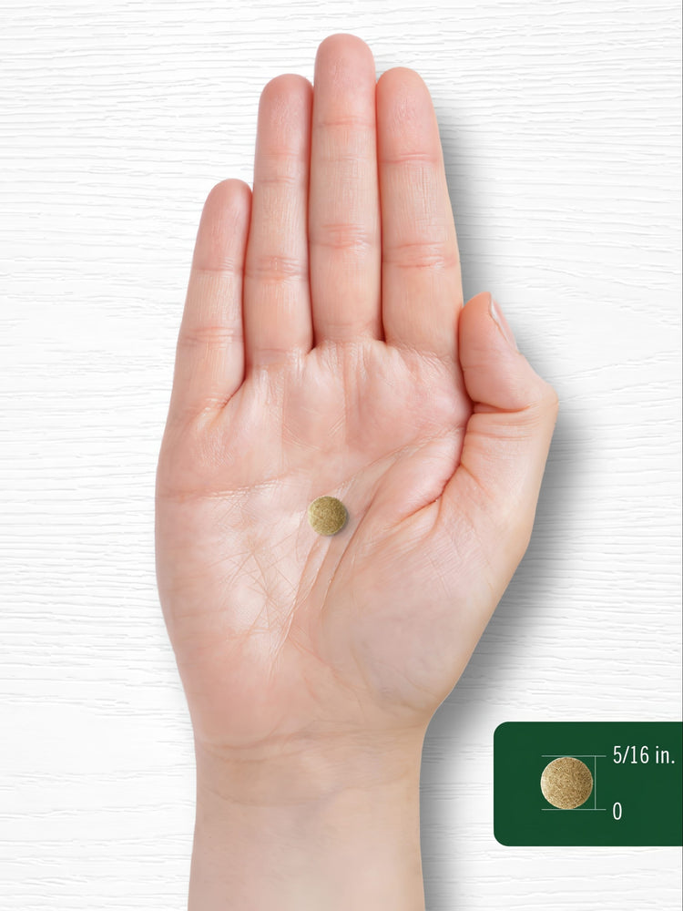 Ginkgo Biloba | 400 Tabletten
