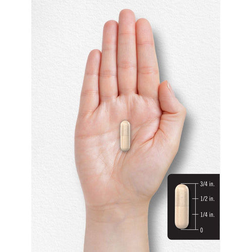 View 8 GTF Chrom 600mcg pro Portion | 250 Kapseln