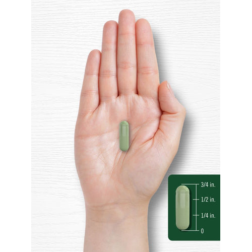 View 8 Moringa Oleifera | 180 Capsules