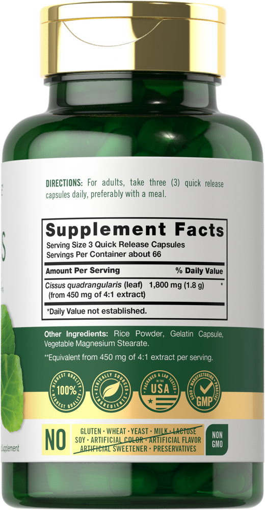 Cissus Quadrangularis 1800 mg pro Portion | 200 Kapseln