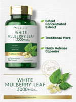 Load image into Gallery viewer, Mulberry Leaf 3000mg | 100 Capsules
