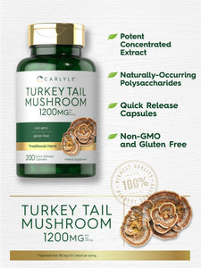 Turkey Tail Mushroom 1200mg | 200 Capsules