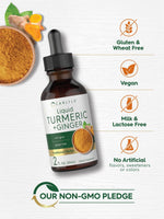 Load image into Gallery viewer, Turmeric &amp; Ginger | 2oz Liquid
