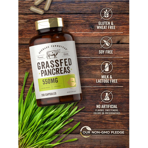 View 4 Páncreas de Res Alimentada con Pasto 550 mg por porción | 200 Cápsulas