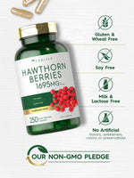 Load image into Gallery viewer, Hawthorn Berry Extract 1695mg | 250 Capsules
