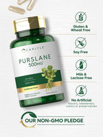 Load image into Gallery viewer, Purslane 500mg | 120 Capsules
