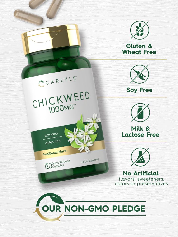 Chickweed 1000mg | 120 Capsules