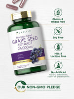 Load image into Gallery viewer, Grape Seed Extract 24,000mg | 240 Capsules
