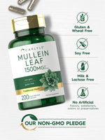 Load image into Gallery viewer, Mullein Leaf  1500mg | 200 Capsules
