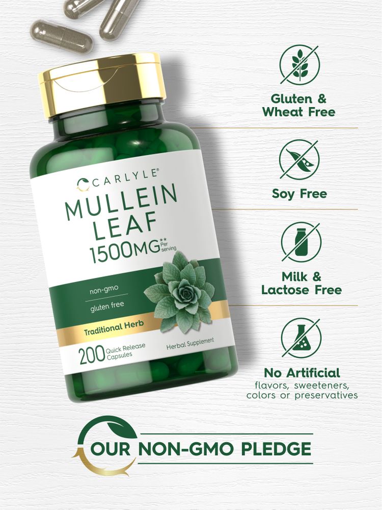 Feuille de Mullein 1500mg par portion | 200 Capsules