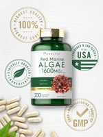 Load image into Gallery viewer, Red Marine Algae 1600mg | 200 Capsules

