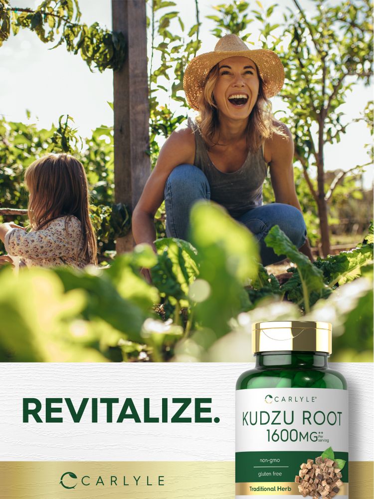 Kudzu Root 1600mg per serving | 100 Capsules