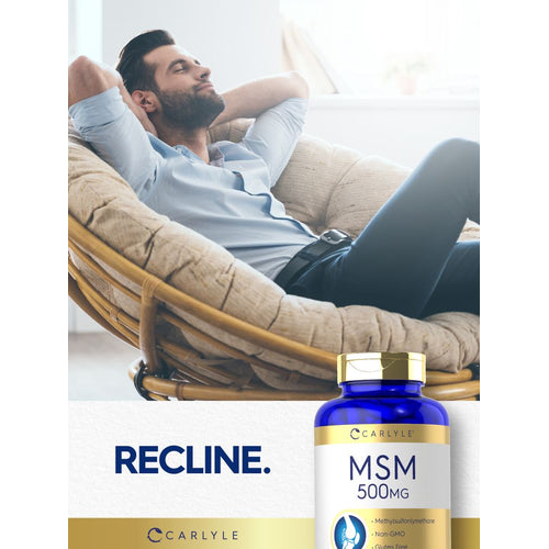 View 6 MSM 500mg | 200 Cápsulas