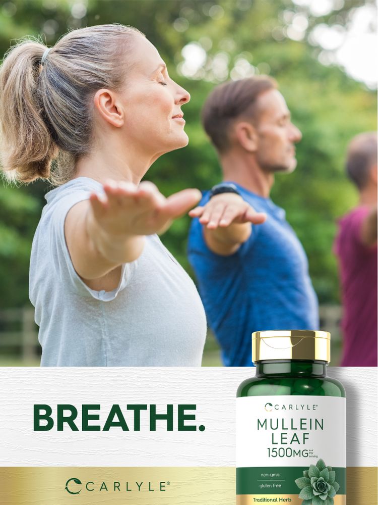 Feuille de Mullein 1500mg par portion | 200 Capsules